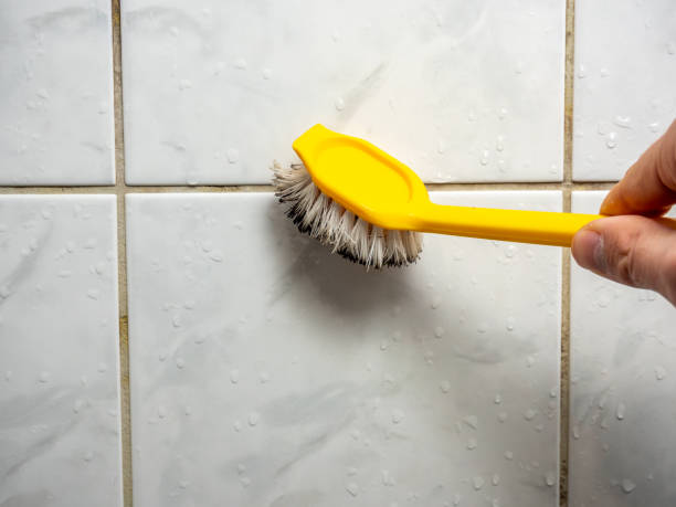 Best White Mold Remediation in Wellington, TX