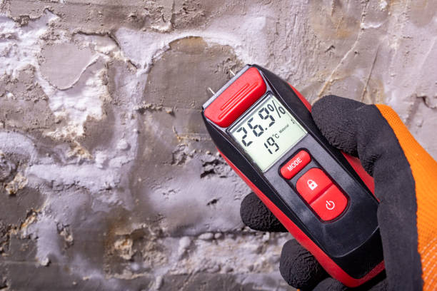 Trusted Wellington, TX Mold Remediation Experts