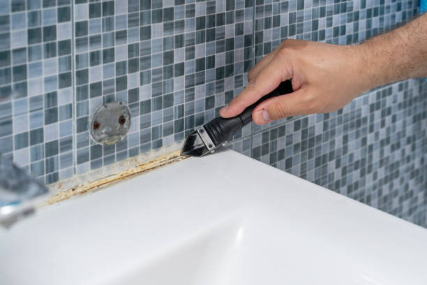Best DIY Mold Remediation Support Services in Wellington, TX