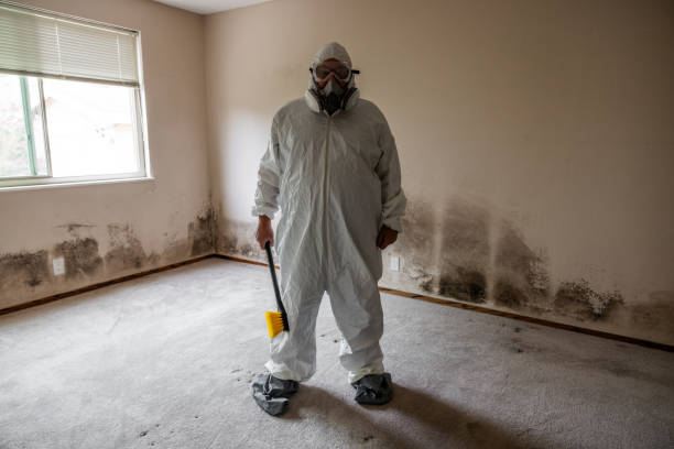 Best Crawl Space Mold Remediation in Wellington, TX